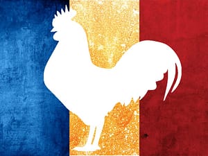 Gallo Tapado