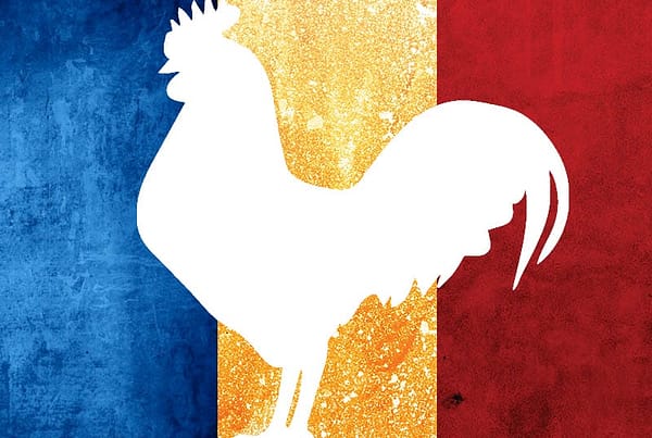 Gallo Tapado