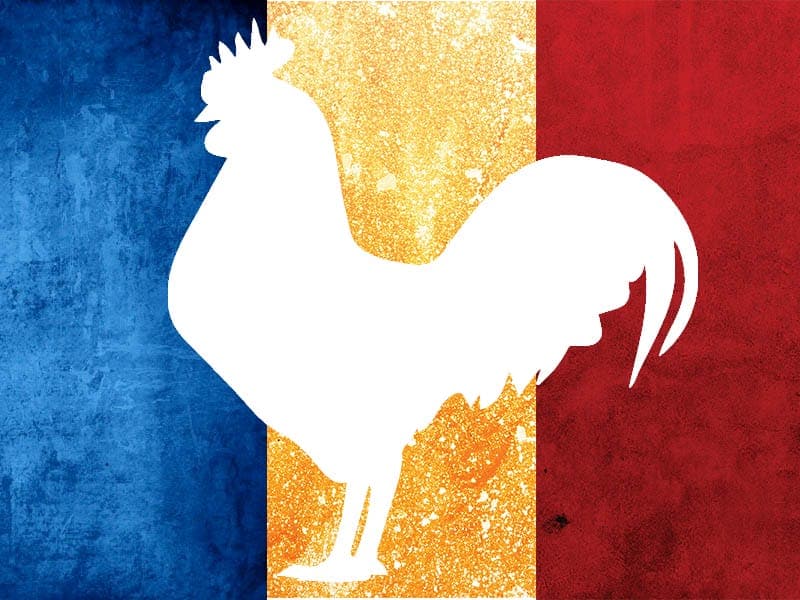Gallo Tapado